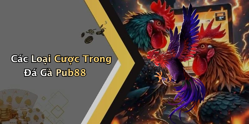 da-ga-pub88-hinh-thuc-giai-tri-day-kich-tinh