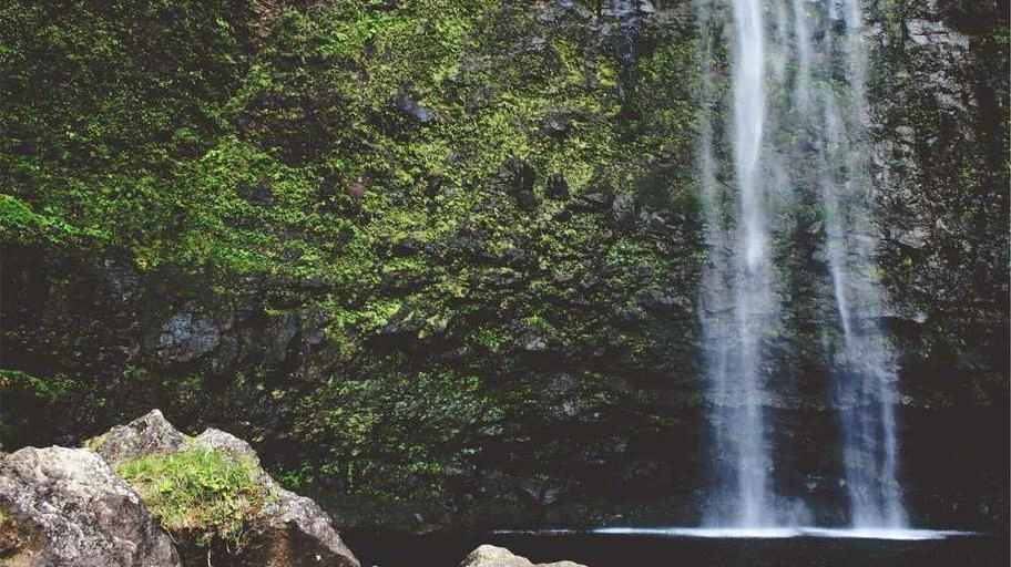 Bảng chiến thuật Ecuador