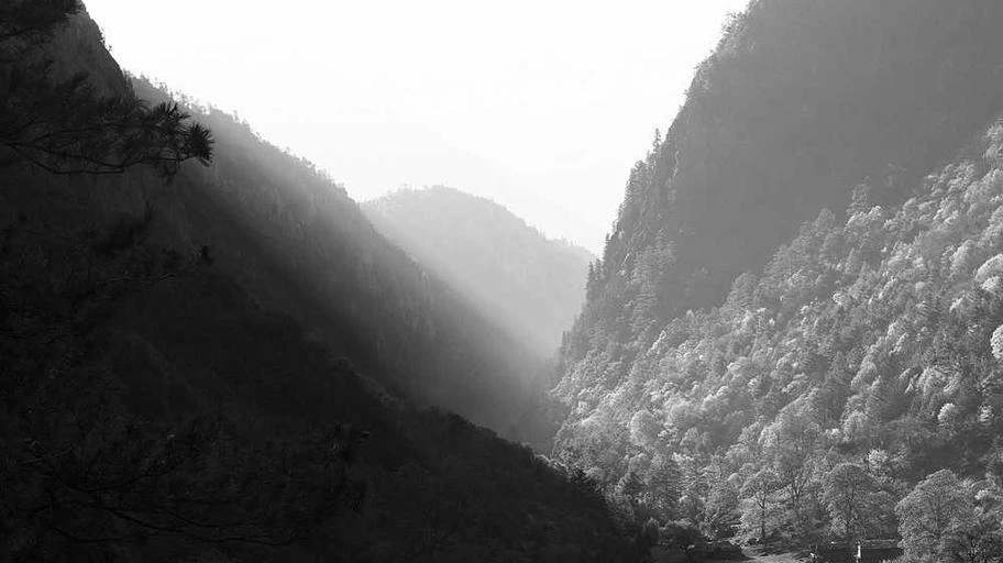 Cầu thủ bóng đá phản ứng cảm xúc