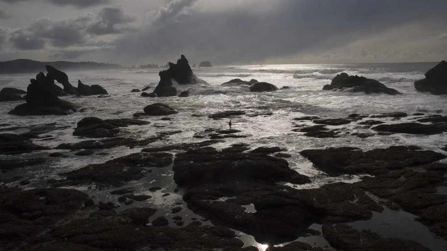 tuong-lai-sang-lan-cua-huan-luyen-vien-yoga-tri-lieu
